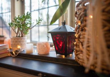 Red lantern and plant on dorm windowsill